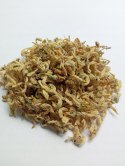 Jasnota biała kwiat 20g Magrou