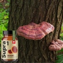 Supra1 Reishi Grzyb nieśmiertelności dla zdrowia 150g